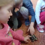 phoca_thumb_m_elva 8 Fotogalerie